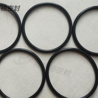 KALREZ全氟醚FFKM密封圈耐碳化氢醇类油蒸汽